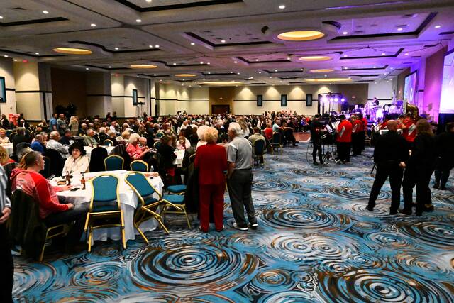 131416777_web1_polka-overview